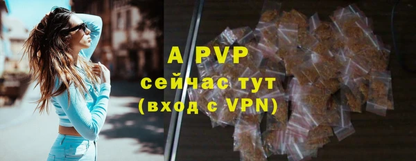 гашик Елабуга