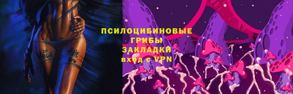 гашик Елабуга