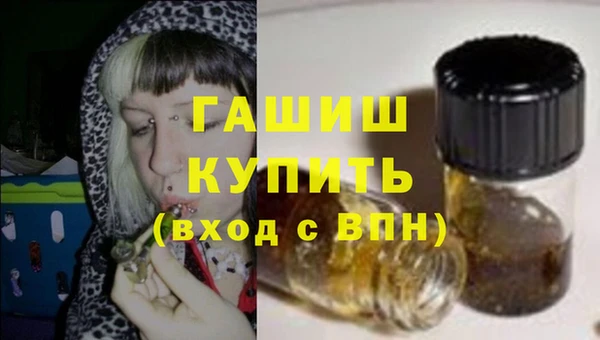 гашик Дмитров