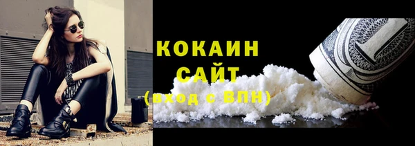 гашик Елизово