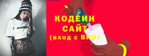 гашик Елизово