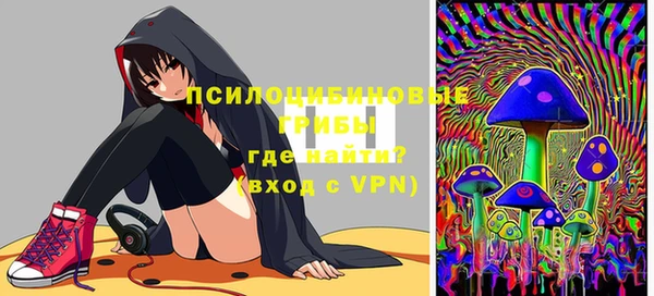 гашик Елабуга