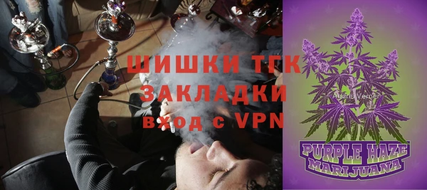гашик Елизово