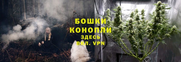 гашик Елизово