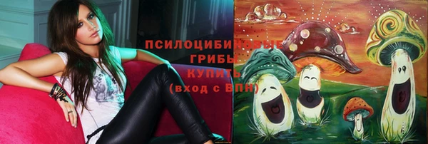 гашик Елабуга